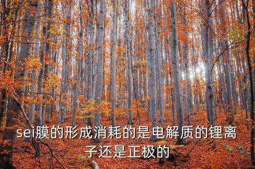 sei膜的形成消耗的是電解質(zhì)的鋰離子還是正極的