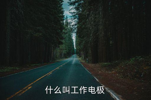 工作電極，電極的種類有哪些