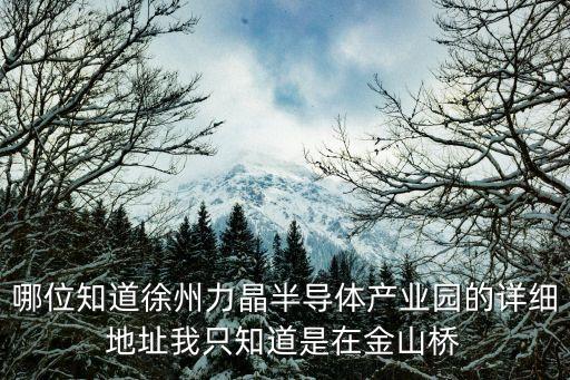 力晶，哪位知道徐州力晶半導(dǎo)體產(chǎn)業(yè)園的詳細(xì)地址我只知道是在金山橋