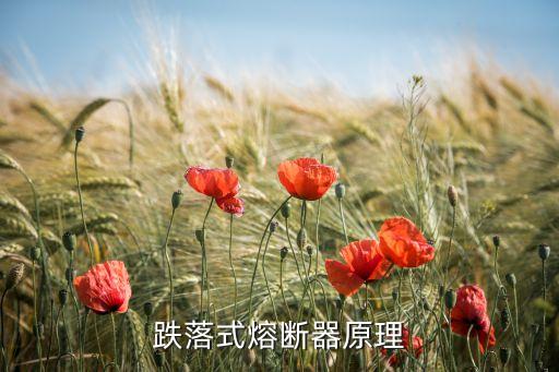 跌落式熔斷器，高壓跌落式熔斷器的介紹