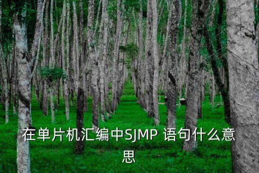 sjmp，單片機的一條指令 SJMP 36 是啥意思