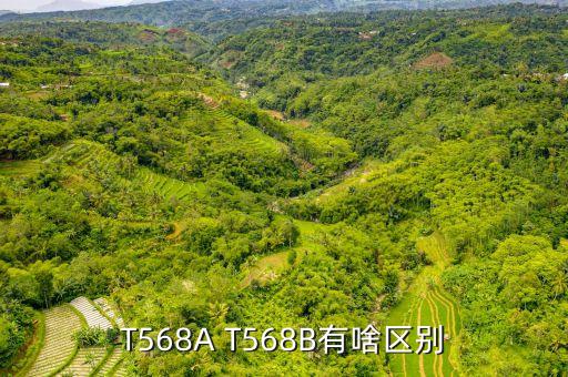 T568A T568B有啥區(qū)別