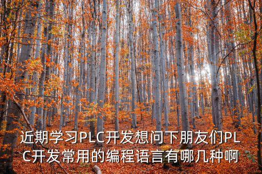 plc編程語(yǔ)言，近期學(xué)習(xí)PLC開(kāi)發(fā)想問(wèn)下朋友們PLC開(kāi)發(fā)常用的編程語(yǔ)言有哪幾種啊