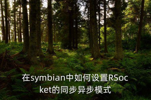 rsocket，除了RSocket和RHTTP還有什么接口能實現遠程通訊