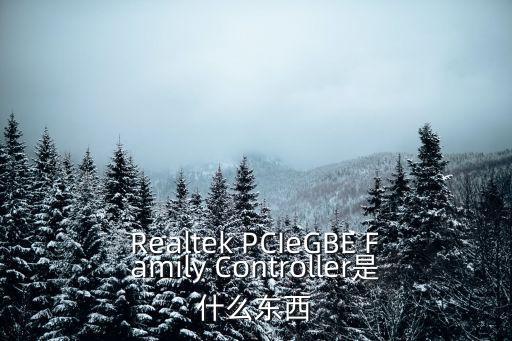Realtek PCIeGBE Family Controller是什么東西