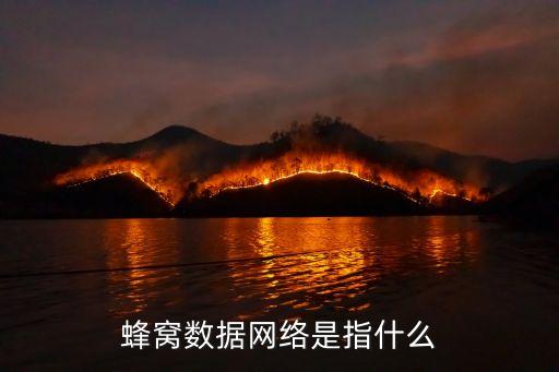 蜂窩數(shù)據(jù)網(wǎng)絡(luò)是指什么