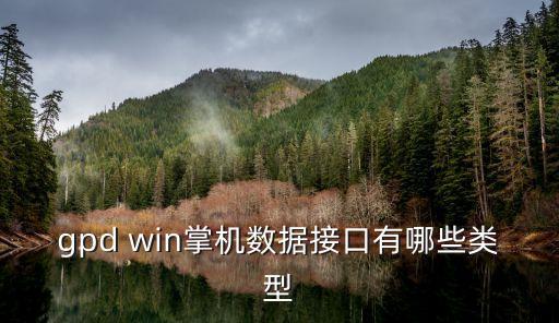 數(shù)據(jù)接口類型，gpd win掌機數(shù)據(jù)接口有哪些類型