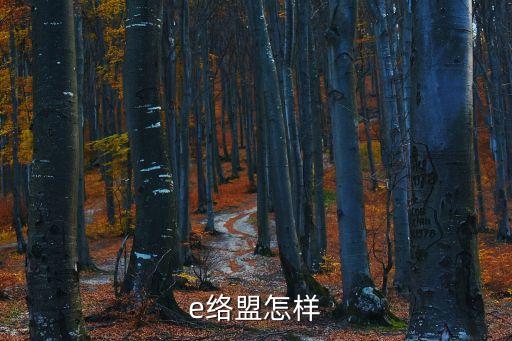 易絡(luò)盟，赫聯(lián)電子比起來其他電子怎么樣