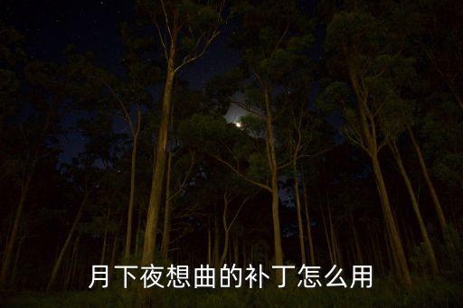 月下夜想曲的補丁怎么用