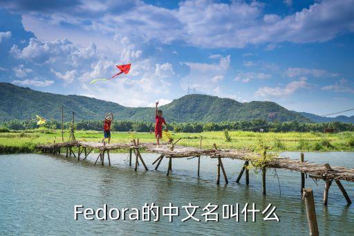 fedora，fedora怎么讀