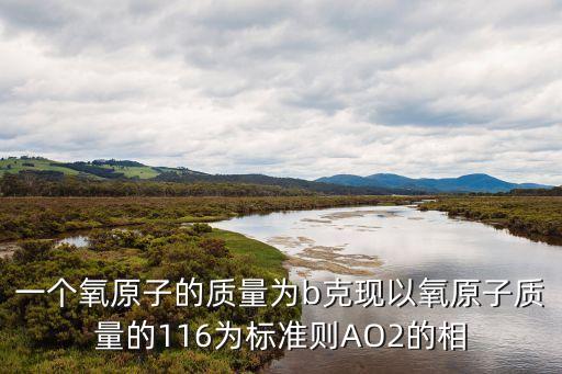 ao2，一個氧原子的質量為b克現以氧原子質量的116為標準則AO2的相