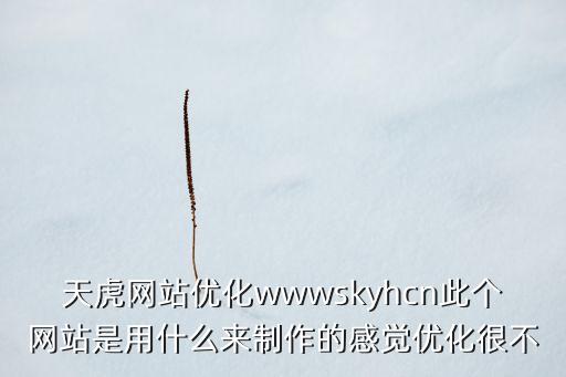 天虎網(wǎng)站優(yōu)化wwwskyhcn此個(gè)網(wǎng)站是用什么來制作的感覺優(yōu)化很不