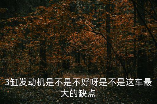 三缸機的優(yōu)缺點，3缸發(fā)動機是不是不好呀是不是這車最大的缺點
