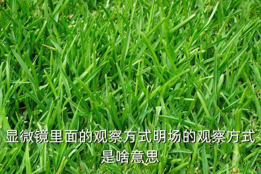 顯微鏡里面的觀察方式明場的觀察方式是啥意思