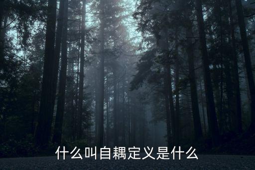 自耦，自耦 是什么意思