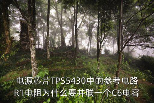 tps5430，TPS5430降壓集成芯片的主要參數(shù)