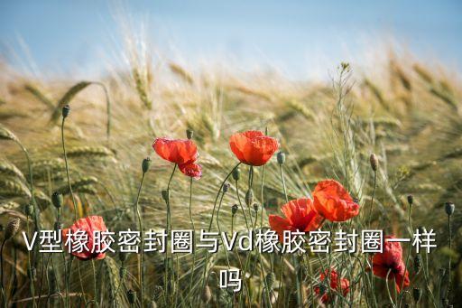 V型橡膠密封圈與Vd橡膠密封圈一樣嗎