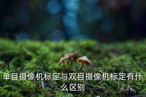 單目攝像機(jī)標(biāo)定與雙目攝像機(jī)標(biāo)定有什么區(qū)別