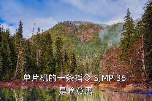 單片機(jī)的一條指令 SJMP 36 是啥意思