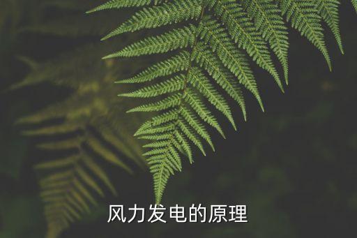 風(fēng)力發(fā)電的原理