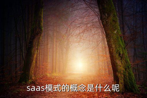 saas模式的概念是什么呢