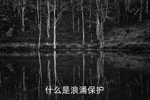 浪涌保護(hù)，什么是浪涌保護(hù)
