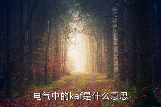 電氣中的kaf是什么意思