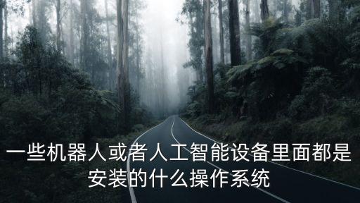 一些機(jī)器人或者人工智能設(shè)備里面都是安裝的什么操作系統(tǒng)