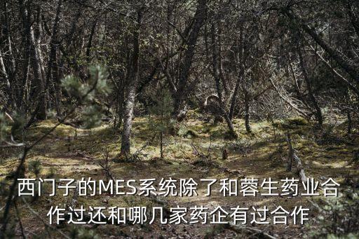 西門子mes，mes知名廠商ge好還是西門子好