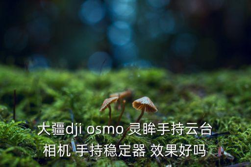 大疆dji osmo 靈眸手持云臺(tái)相機(jī) 手持穩(wěn)定器 效果好嗎