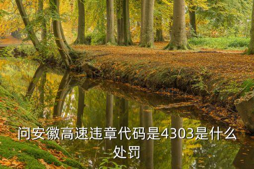 問安徽高速違章代碼是4303是什么處罰