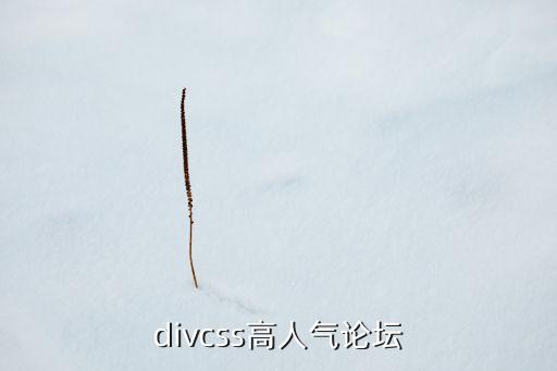 divcss高人氣論壇