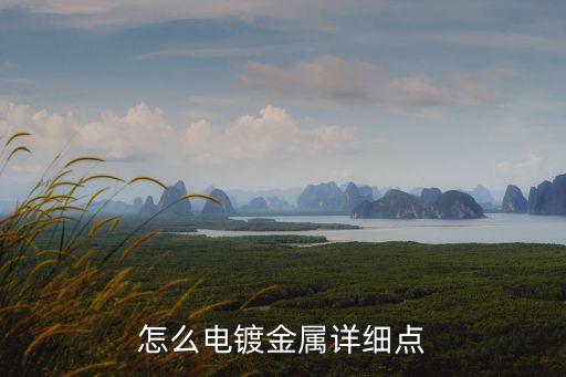 怎么電鍍金屬詳細點
