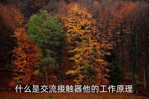 什么是交流接觸器他的工作原理