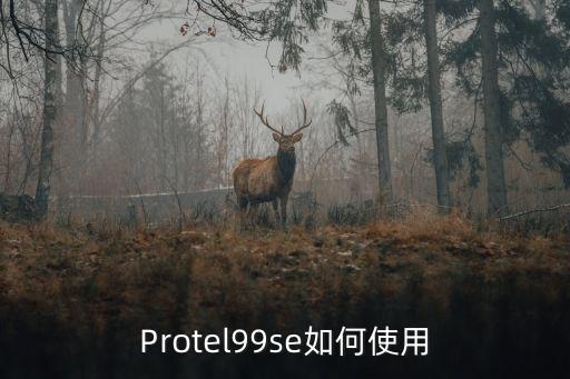 Protel99se如何使用