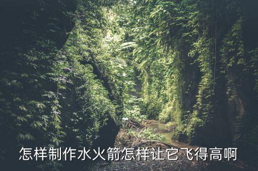 怎樣制作水火箭怎樣讓它飛得高啊