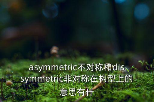 asymmetric不對稱和dissymmetric非對稱在構(gòu)型上的意思有什