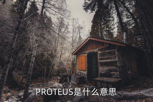 PROTEUS是什么意思