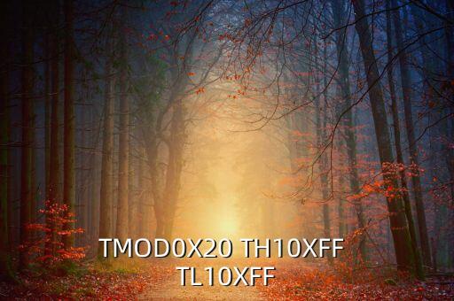 TMOD0X20 TH10XFF TL10XFF