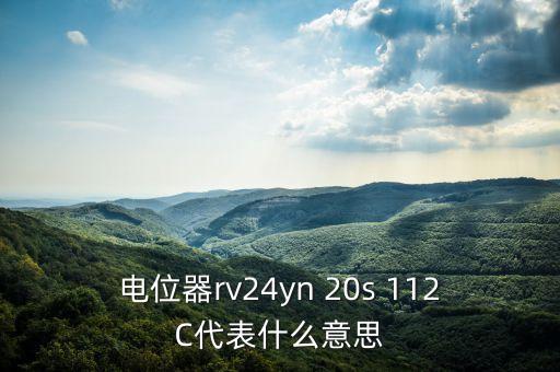 電位器rv24yn 20s 112C代表什么意思