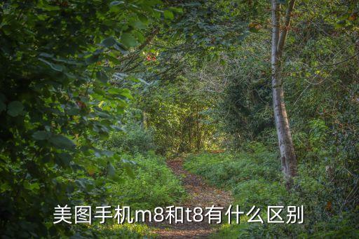 美圖m8，美圖M8值得買嗎 美圖M8評(píng)測(cè)與選購(gòu)建議