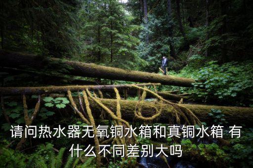 請問熱水器無氧銅水箱和真銅水箱 有什么不同差別大嗎