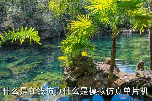 什么是在線仿真什么是模擬仿真單片機(jī)