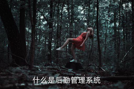 什么是后勤管理系統(tǒng)