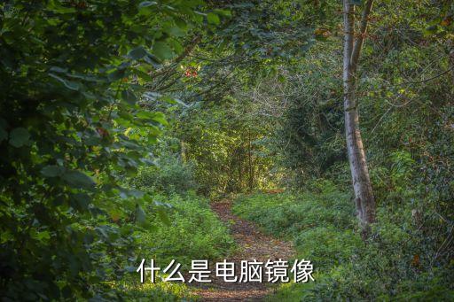 什么是電腦鏡像