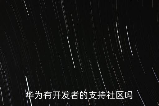 華為有開發(fā)者的支持社區(qū)嗎