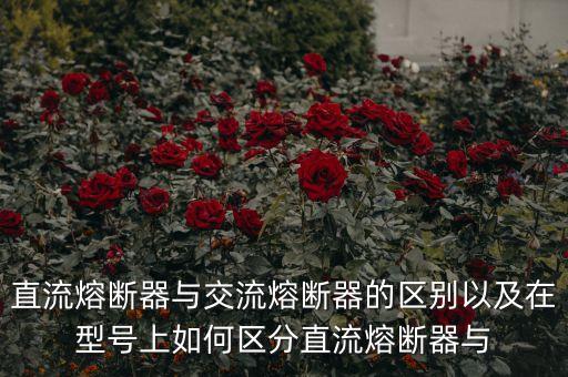 直流熔斷器與交流熔斷器的區(qū)別以及在型號上如何區(qū)分直流熔斷器與