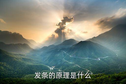 發(fā)條原理，發(fā)條玩具原理是神馬捏各位大哥大姐拜托啦