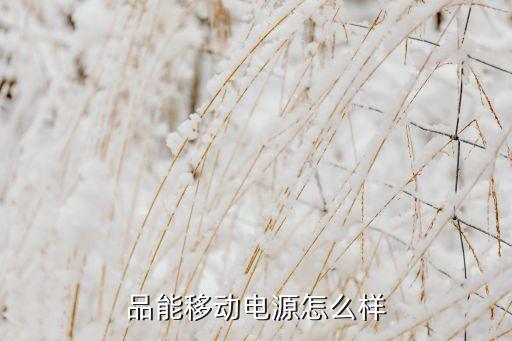 品能，品能充電寶怎么樣