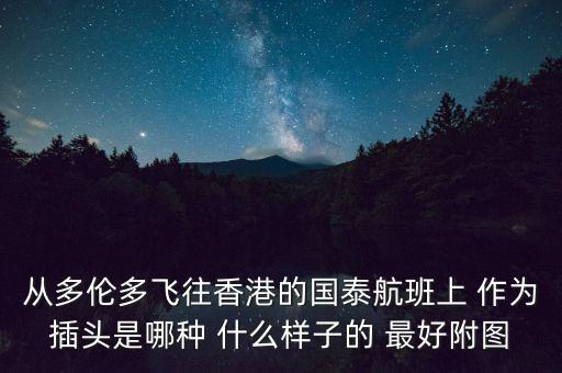 從多倫多飛往香港的國(guó)泰航班上 作為插頭是哪種 什么樣子的 最好附圖